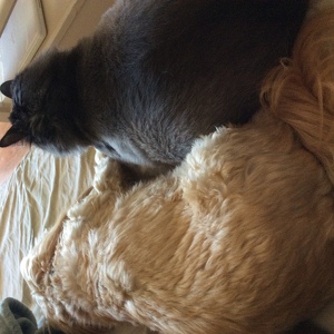 Fundraising Page: Jennifer Hawkins